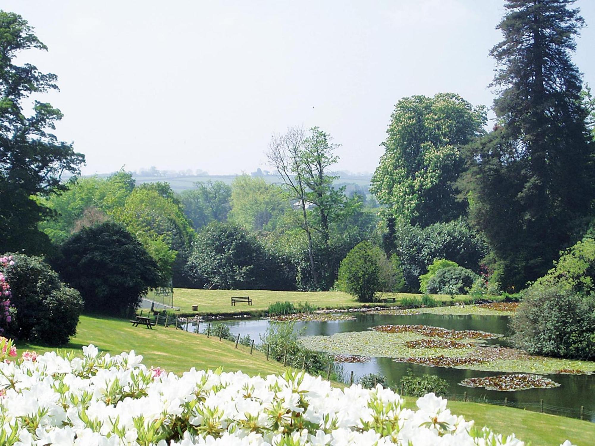 Heligan - B6522 Villa Saint Cleer Luaran gambar